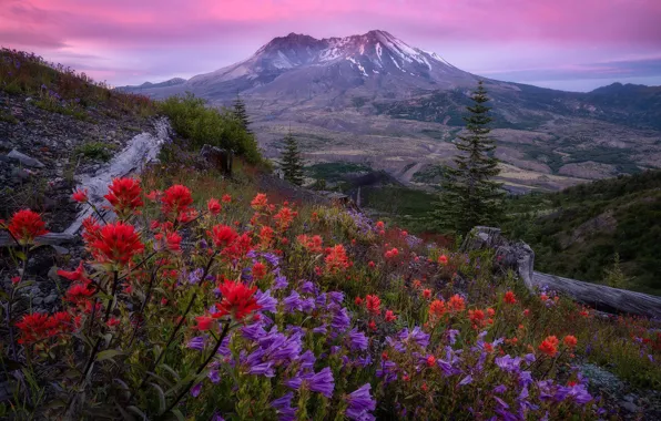 Wallpaper flowers, mountain, valley, slope, bells, The cascade ...