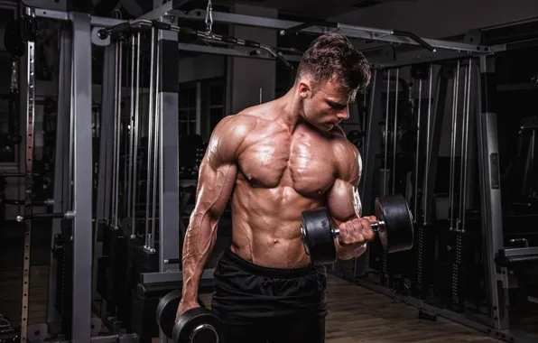 Muscle, muscle, man, press, pose, dumbbells, gym, bodybuilder
