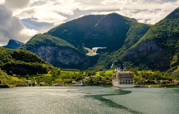 Greens, forest, the sky, the sun, clouds, trees, mountains, rocks