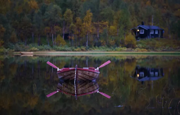 Picture forest, lake, boat, paddles