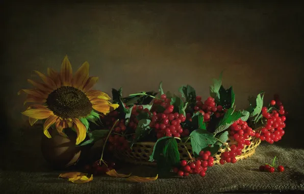 Berries, sunflower, texture, Kalina