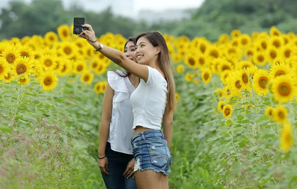 Field, joy, sunflowers, nature, girls, the camera, smile, Asian girls