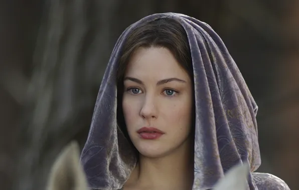 Liv Tyler, The Lord Of The Rings, The Lord of the Rings, John Ronald Reuel …
