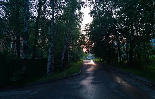 Summer, trees, the city, house, the building, the evening, Russia, architecture