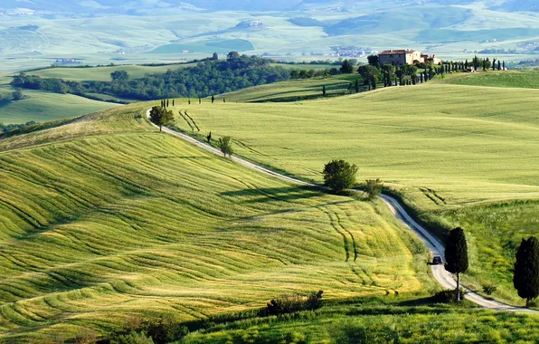 Road, field, the sky, trees, nature, house, hills, meadow