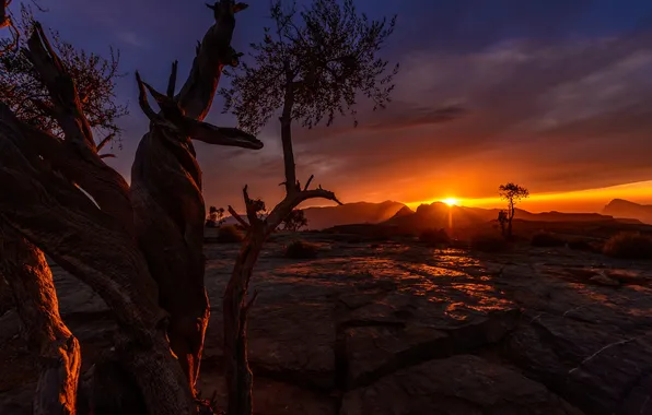 The sky, night, nature