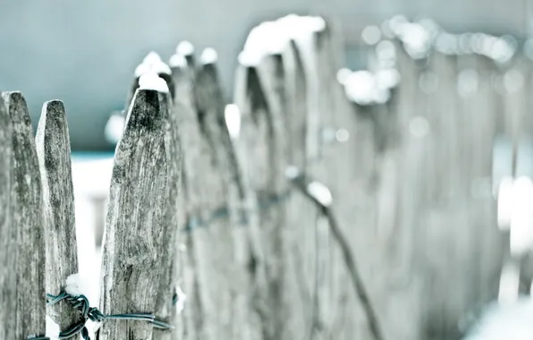 Macro, the fence, color