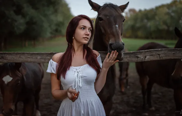 Animals, girl, nature, horses, dress, neckline, brown hair, shoulders