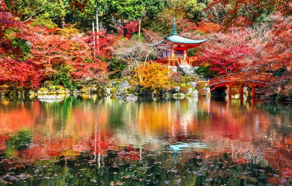 Autumn, leaves, trees, Park, Japan, Kyoto, nature, bridge