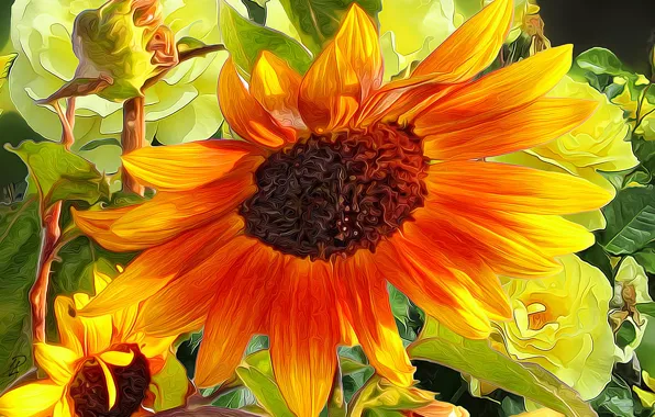 Line, rendering, sunflower, petals