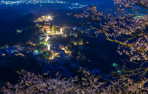 Forest, mountains, night, branches, lights, home, Japan, Sakura