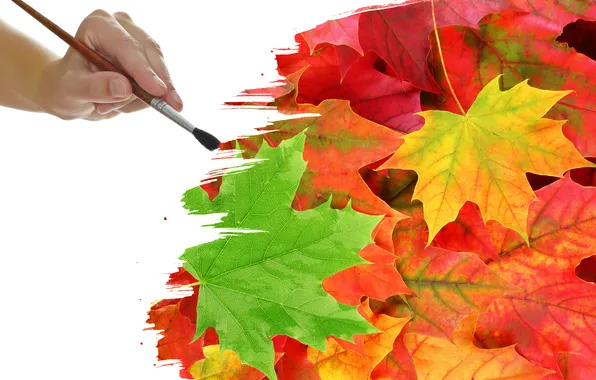 Picture leaves, creative, paint, brush, veins, drawing