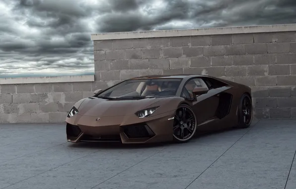 Roof, the sky, clouds, the fence, lamborghini, brown, front view, brown