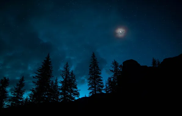 The sky, Night, Stars, The moon, Forest, Canada, Spruce, A month