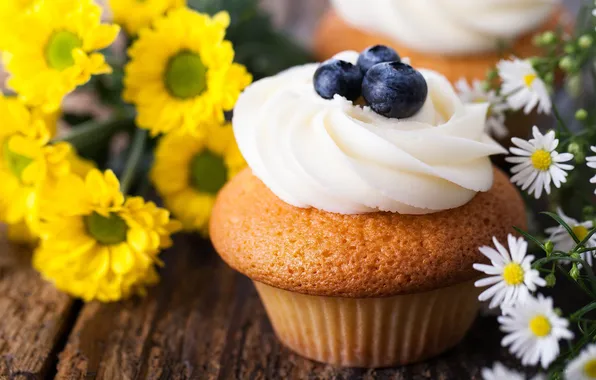 Berries, cake, cream, cupcake