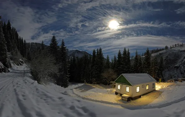 Winter, forest, light, snow, night, the moon, house