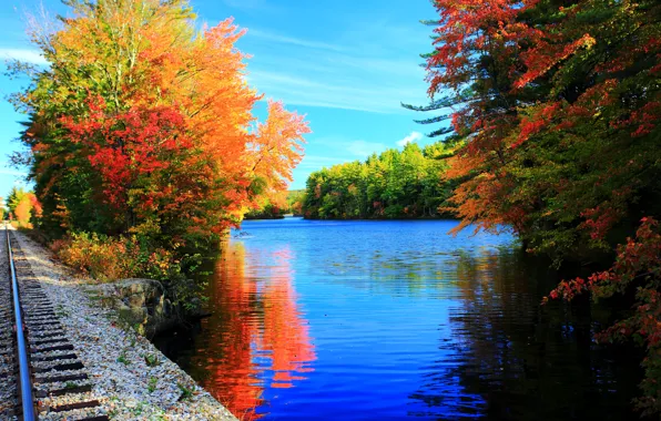 Trees, lake, rails, colors, Autumn, trees, nature, autumn