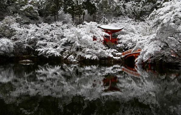 Picture Japan, Kyoto, Patrick Vierthaler