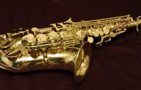 Music, tool, saxophone