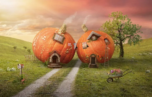 Field, fantasy, pumpkin, houses, Tracy Lundgren