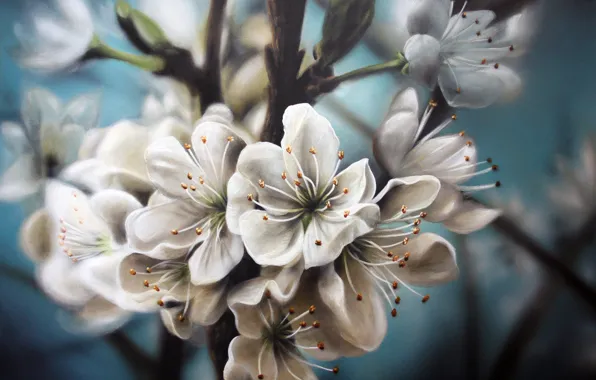 Nature, sprig, white, flowers, painting, Apple, flowering