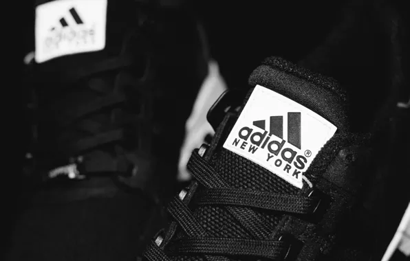 Picture laces, Adidas, New York, EQT