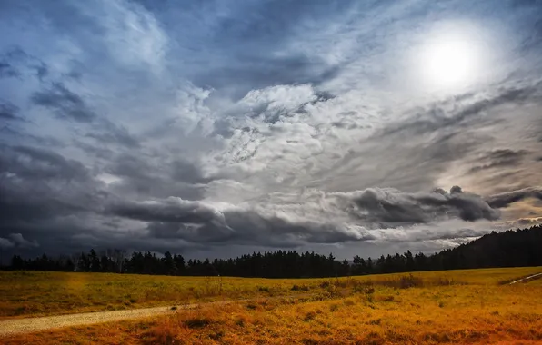 Picture road, field, forest, the sun, clouds