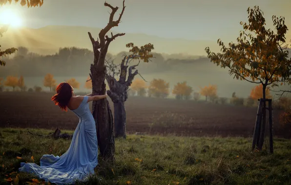 FIELD, DRESS, TREES, RAYS, DAL, MOOD, photographer Miss Frogg