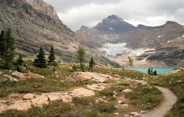 Picture trees, mountains, path