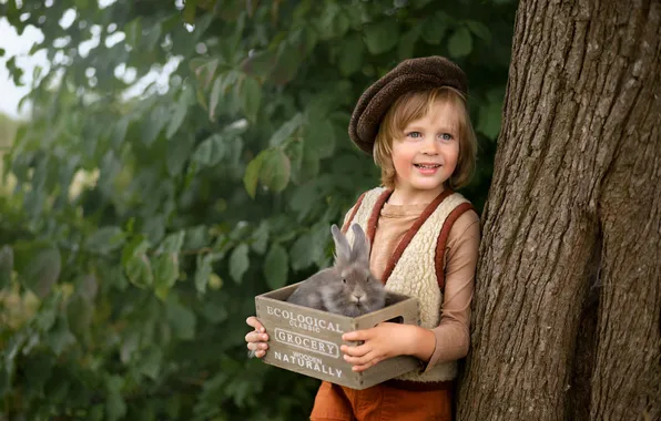 Boy, rabbit, box