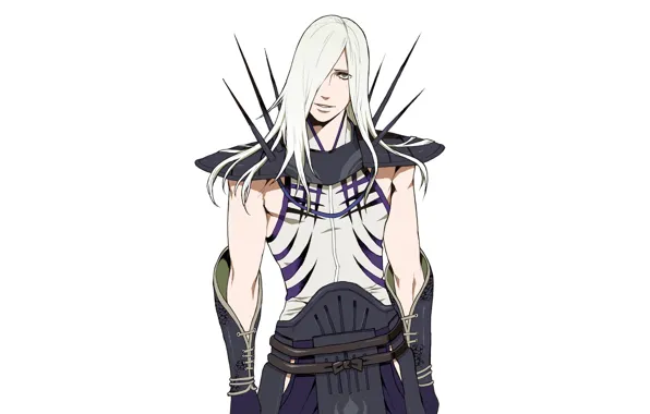 White background, guy, Sengoku Basara, The Era Of Unrest