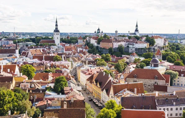 Building, Estonia, Tallinn, panorama