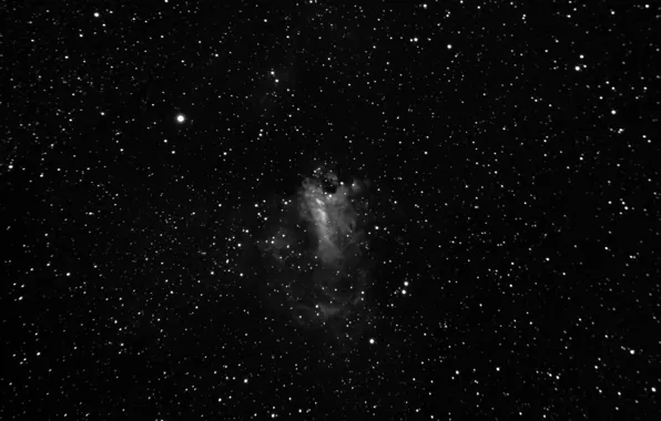 Sagittarius, is, in the constellation, area, The Omega Nebula, H II