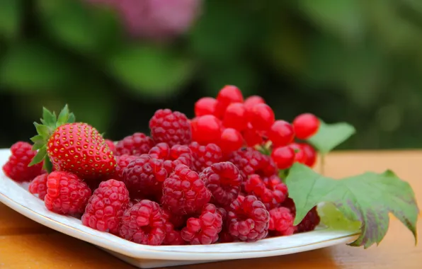 Autumn, berries, raspberry, beauty, harvest, strawberry, vitamins, delicious