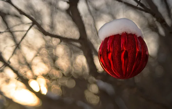 Winter, balls, snow, decoration, branches, red, strip, holiday