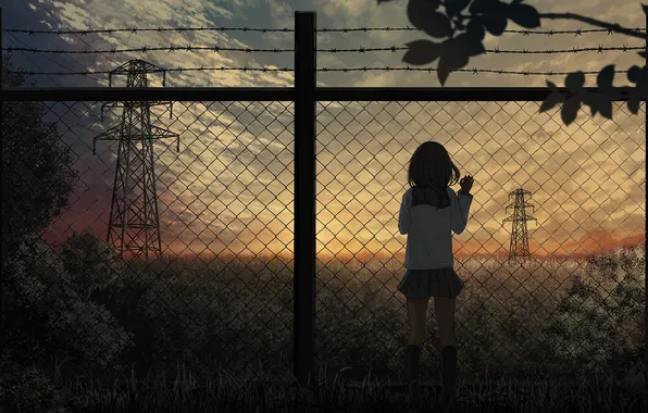 The sky, girl, clouds, sunset, nature, the fence, anime, art
