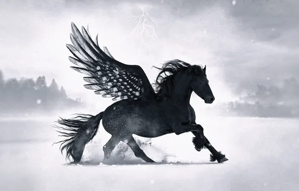 Forest, snow, horse, lightning, wings, black pegasus