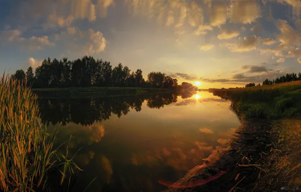Summer, trees, sunset, nature, reflection, river, Russia, Agoranov Alex