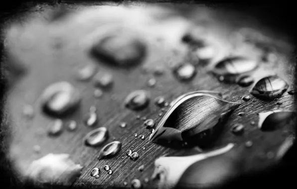 Drops, sheet, black and white