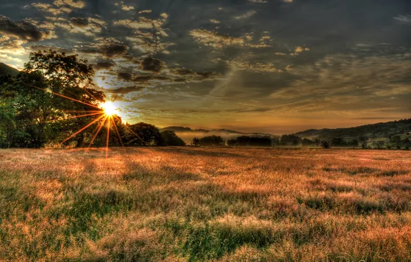 Picture field, the sky, the sun, clouds, rays, trees, sunset, England
