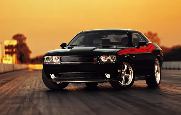 Picture machine, cars, Dodge, Challenger, american cars