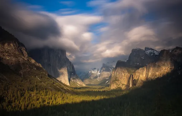 Forest, the sky, clouds, light, mountains, fog, blue, rocks