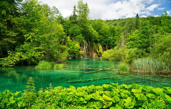 Greens, forest, grass, clouds, trees, waterfalls, Croatia, lake