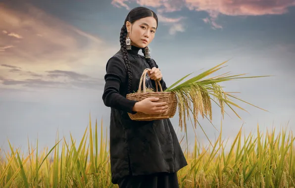 Field, look, girl, nature, pose, Asian, Nick Vison