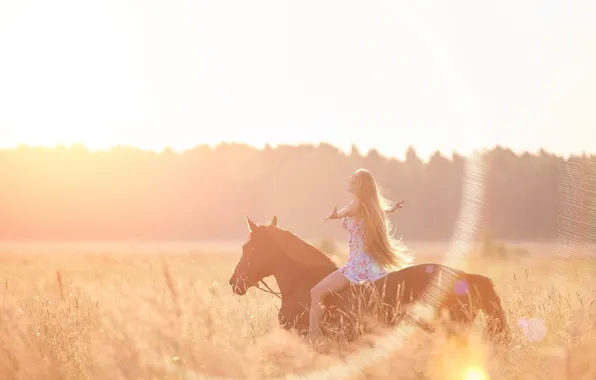 GIRL, FOREST, GRASS, HAIR, HORSE, FIELD, LIGHT, RAYS