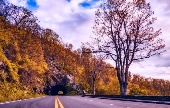Road, autumn, clouds, trees, mountain, yellow, slope, highway