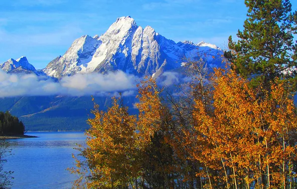 Autumn, the sky, trees, mountains, lake, Wyoming, USA, grand teton national park