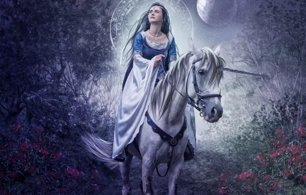 Girl, flowers, night, the moon, horse, garden, halo, photo art