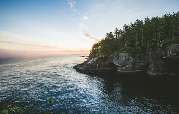 Sea, forest, trees, nature, dawn, Rocks