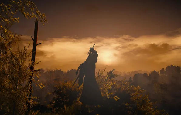 The Witcher, Geralt, The Witcher 3 Wild Hunt, The Witcher 3